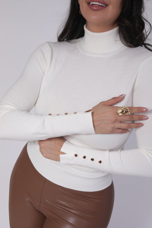 BLUSA SUETER BASICA CUELLO TORTUGA